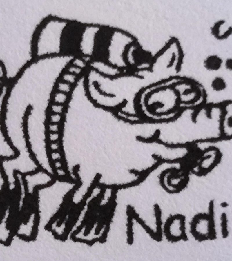 Nadine Schneider Trainerin