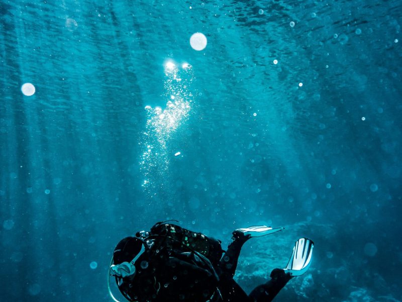 pexels-pspov-3046582